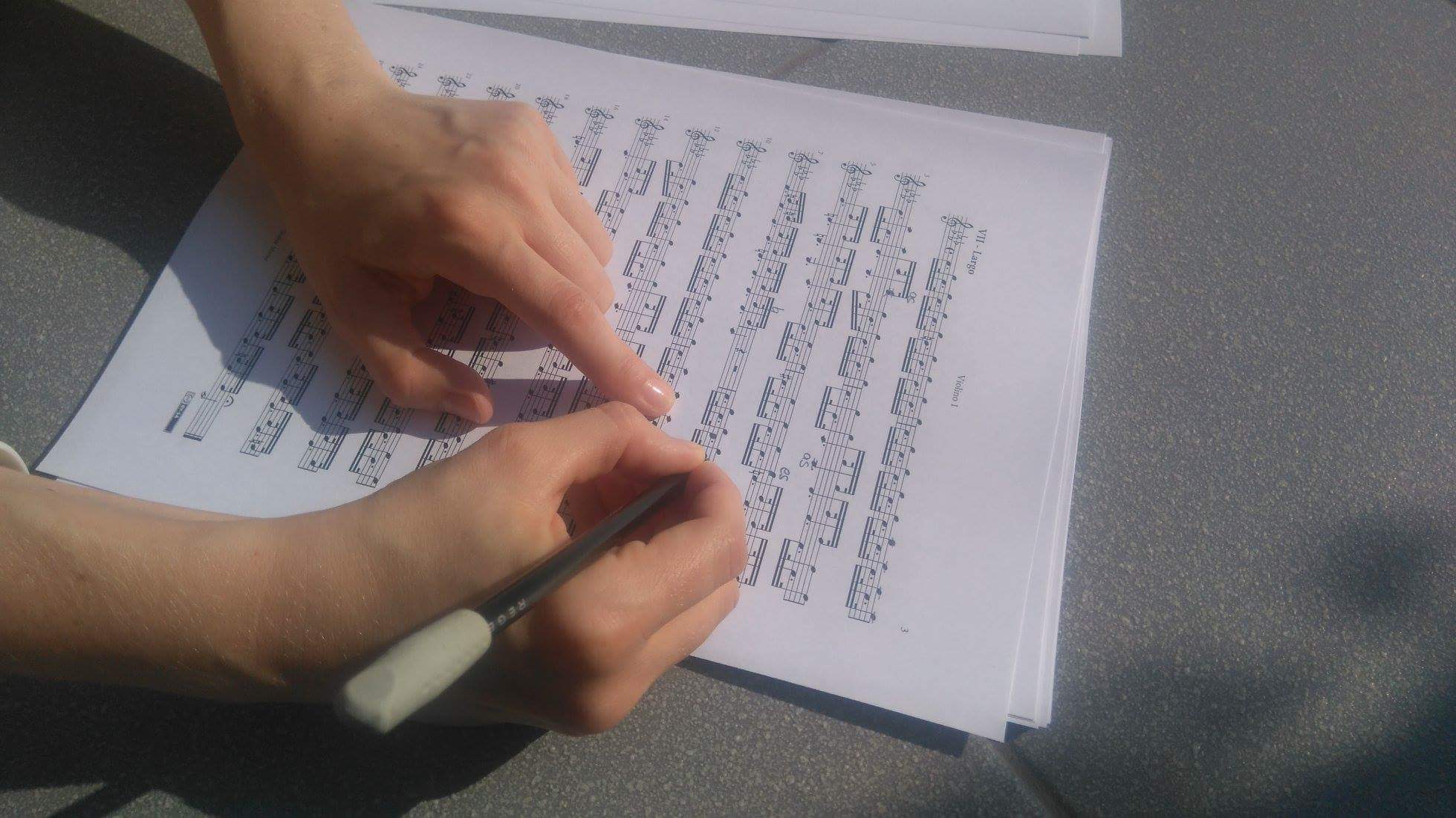 received_275886079898456 - Leszno Barok Plus Festiwal, Facebook