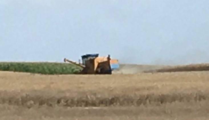 received_660686160981788 - Rafał Muniak