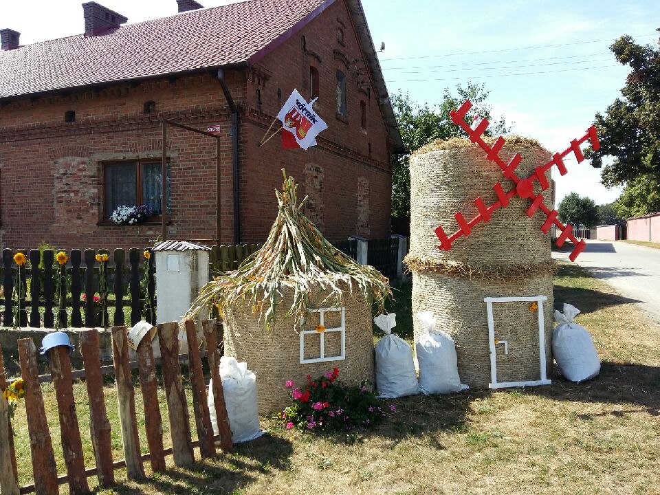 dożynki - Magdalena Konieczna