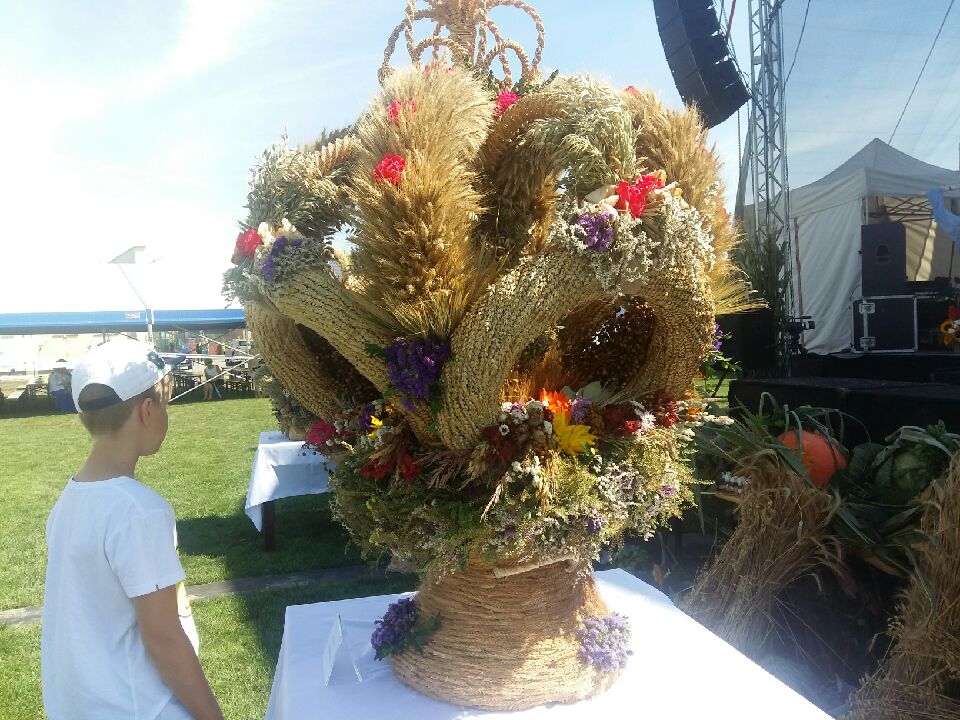 dożynki - Magdalena Konieczna