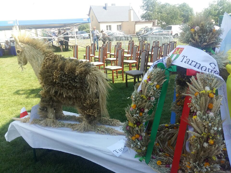 dożynki - Magdalena Konieczna