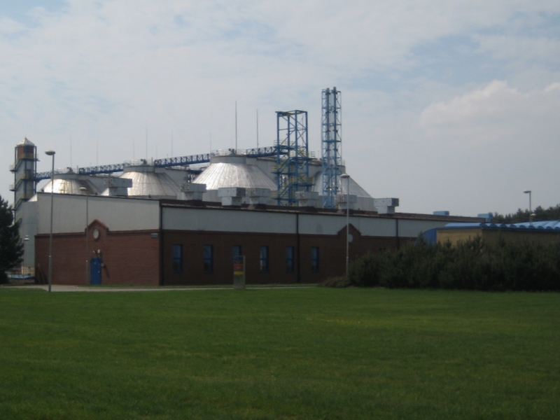 COŚ - badanie zapachów - Anna Skoczek