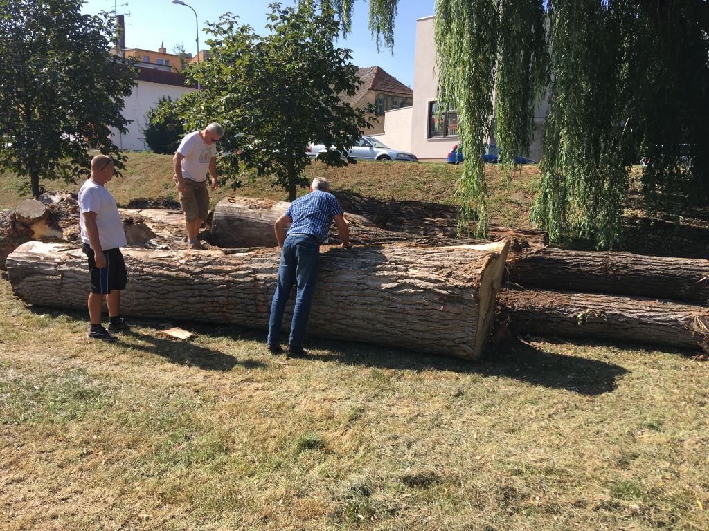 rzezby szamotuły4 - Andrzej Coborski