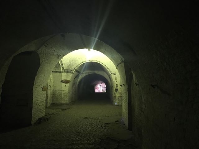 bunkry nietoperze - Jacek Butlewski