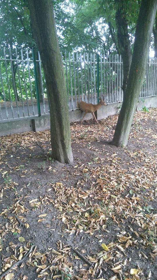 received_1356050257861321 - Straż Miejska Miasta Poznania