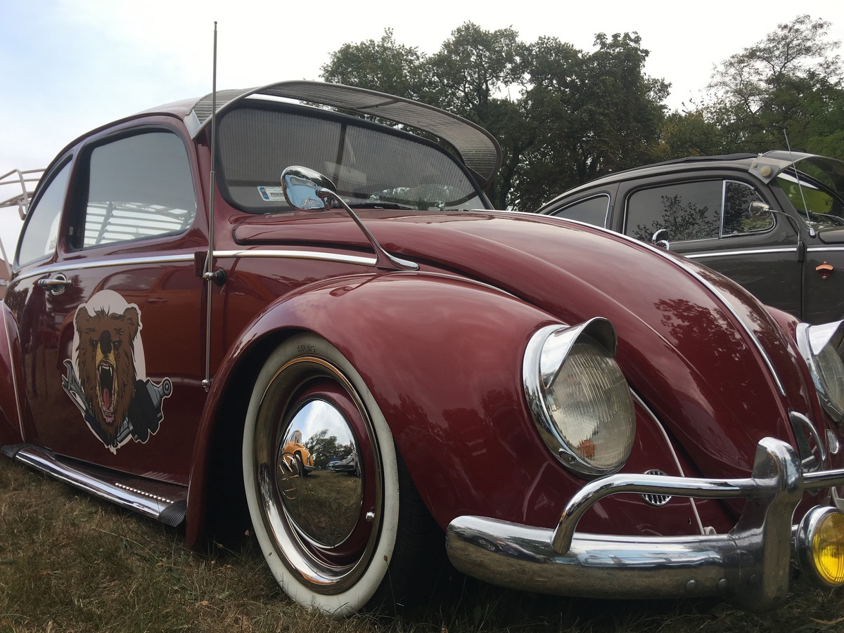 zlot garbusów w garbach - Rafał Regulski