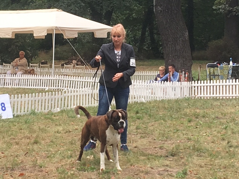 bokser - Jacek Marciniak