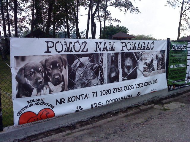 Futrzakowo - Iwona Krzyżak