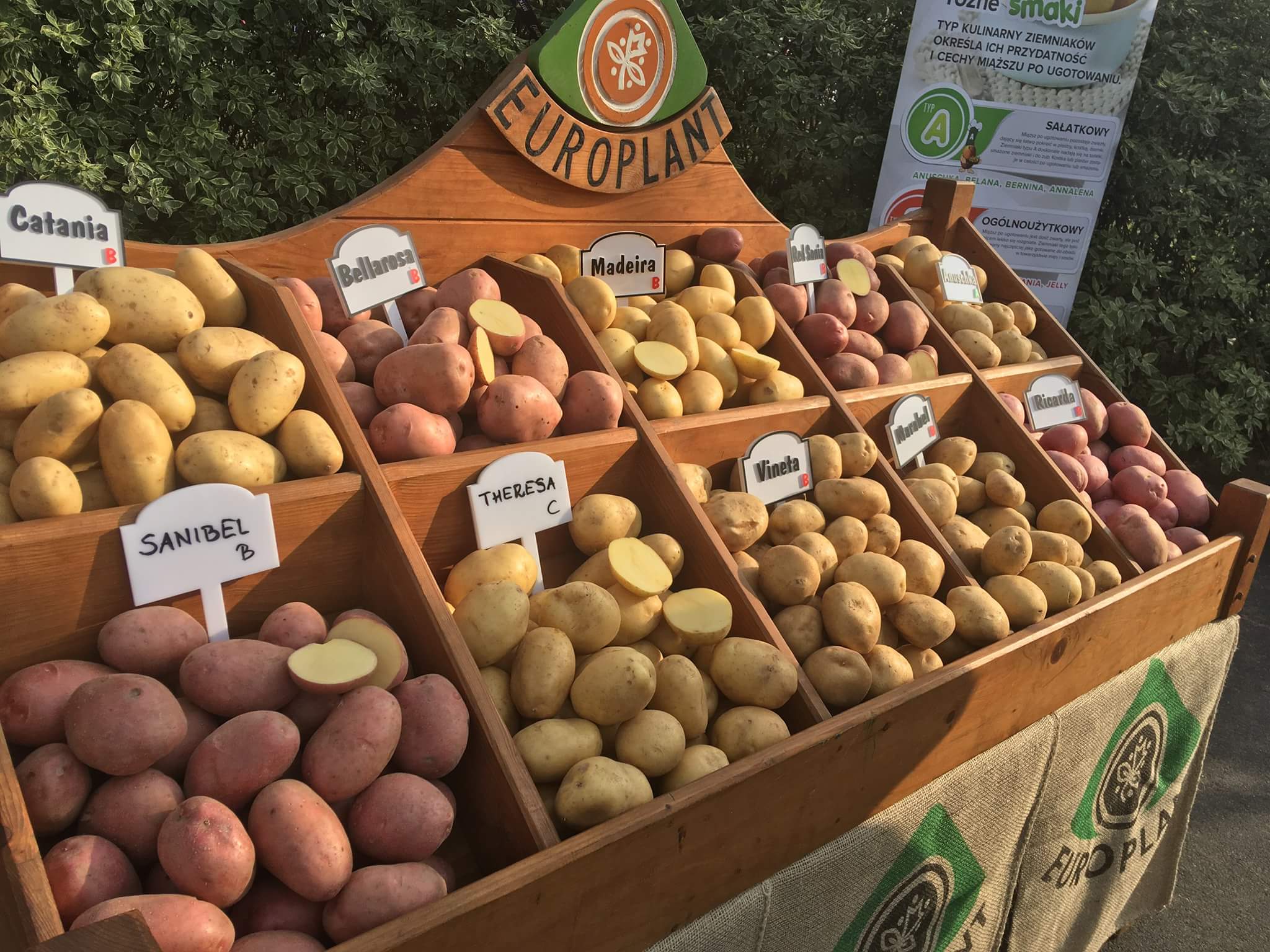 received_1826129514160864 - Adam Michalkiewicz