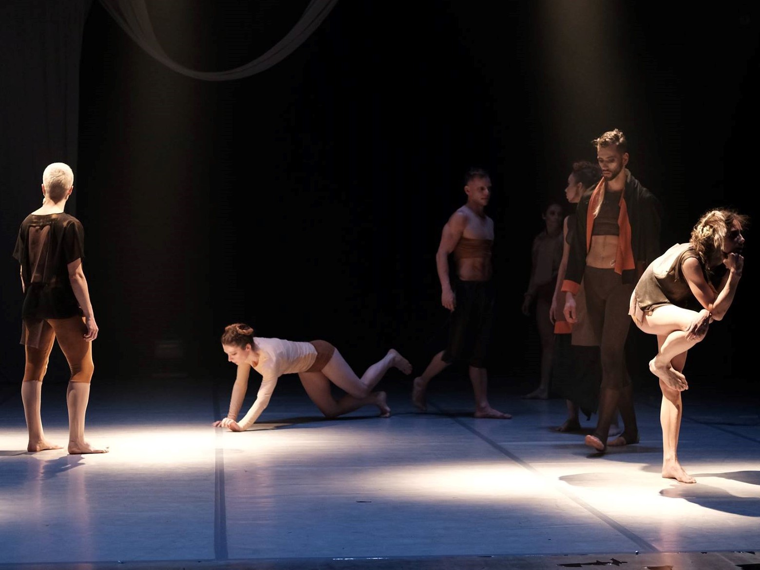 Polski Teatr Tańca  - Polski Teatr Tańca Facebook