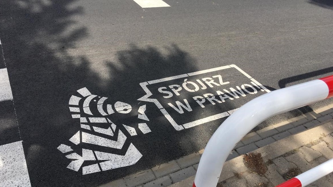 zebra zbyszek dopiero - Piotr Jaśkowiak