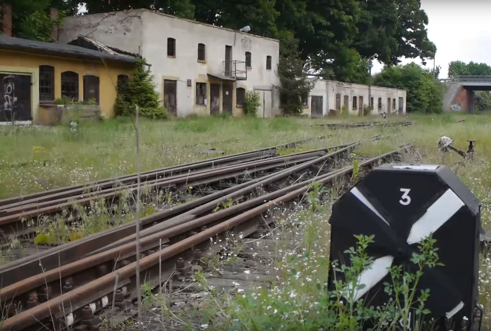 pociąg międzychód - Express Międzychodzki
