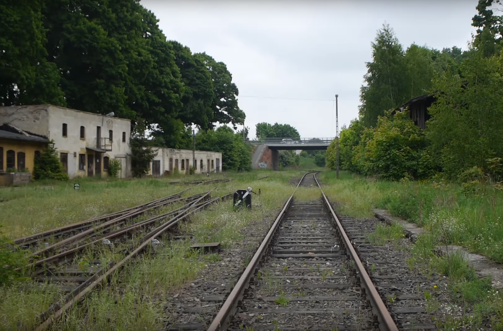 pociąg międzychód - Express Międzychodzki