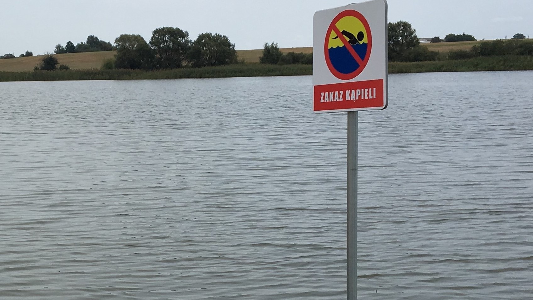 rybno - Wojtek Wardejn