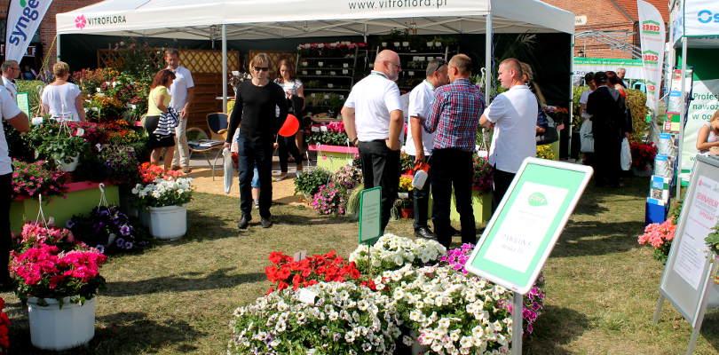 dni ogrodnika gołuchów - wiescirolnicze.pl