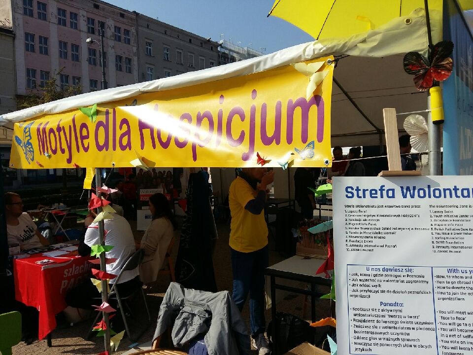 piknik pozarządowy - Magdalena Konieczna