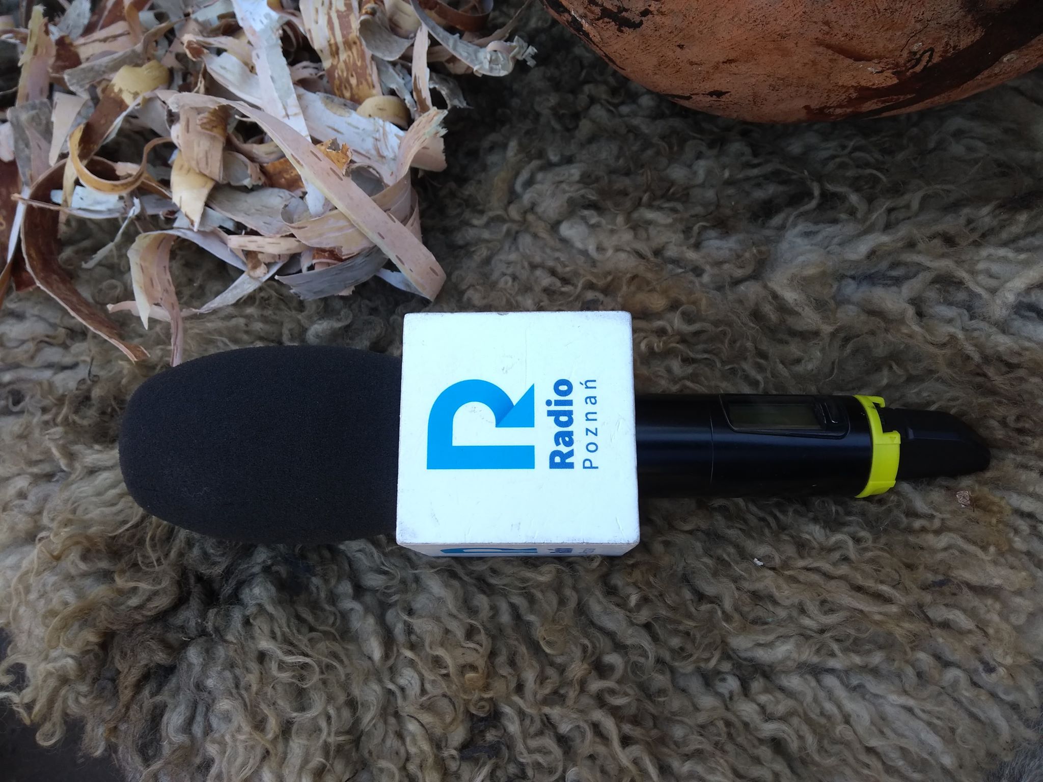 festynarcheologiczny - Radio Poznań