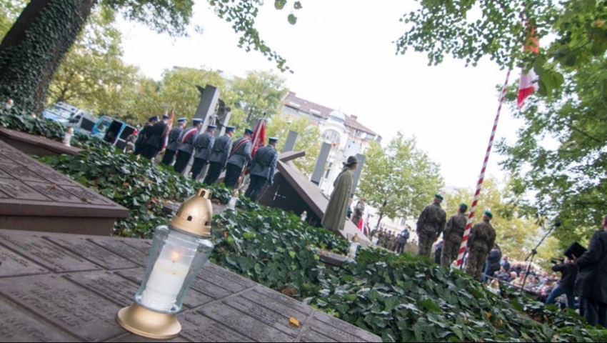 swietujemyzpokora - Wojtek Wardejn