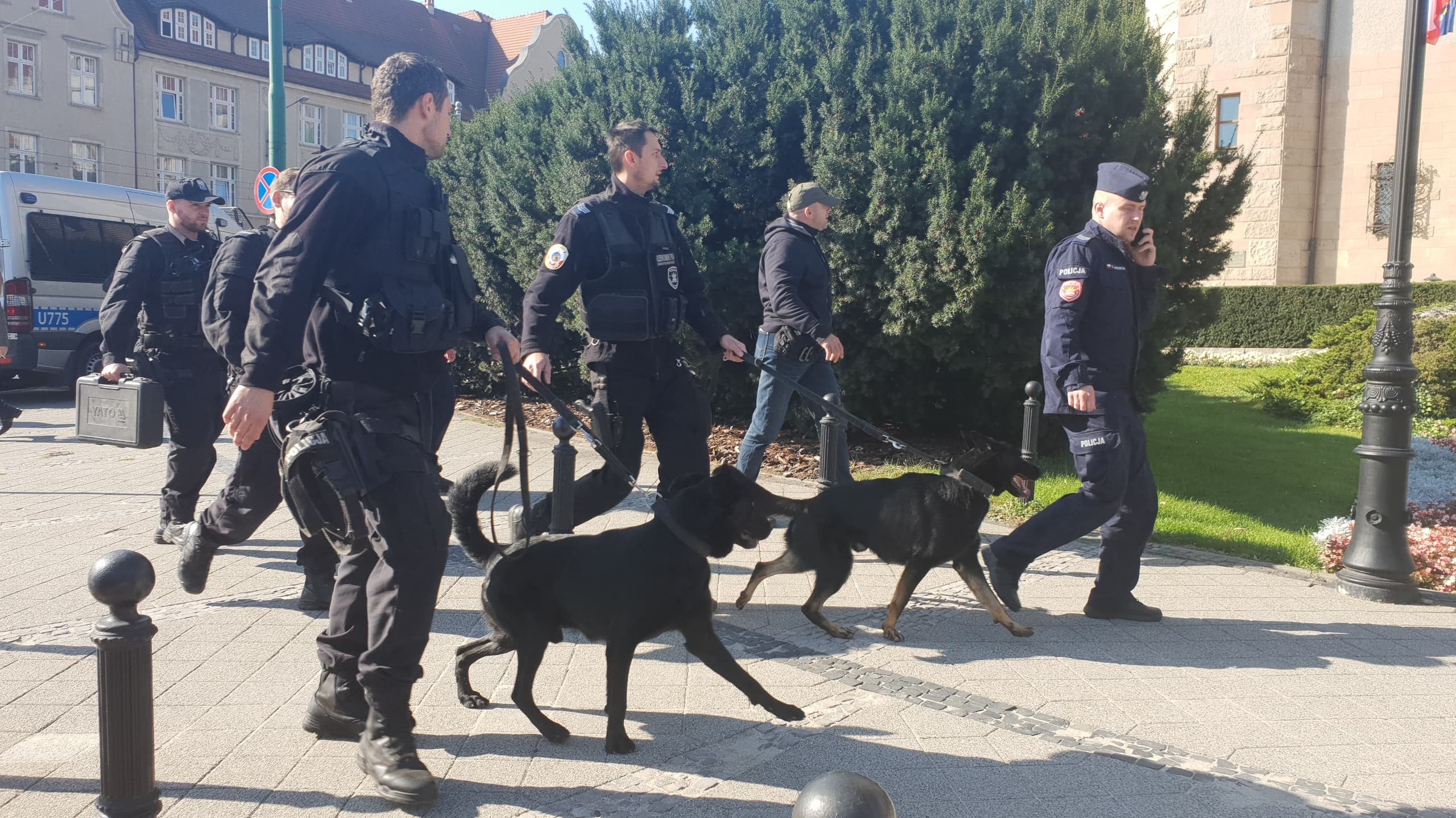 uam gowin atak bombowy - Michał Jędrkowiak