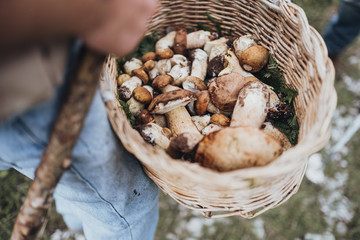 grzyby_pazdziernik_fotolia - Fotolia