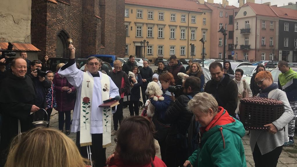 święcenie zwierząt kalisz - Danuta Synkiewicz