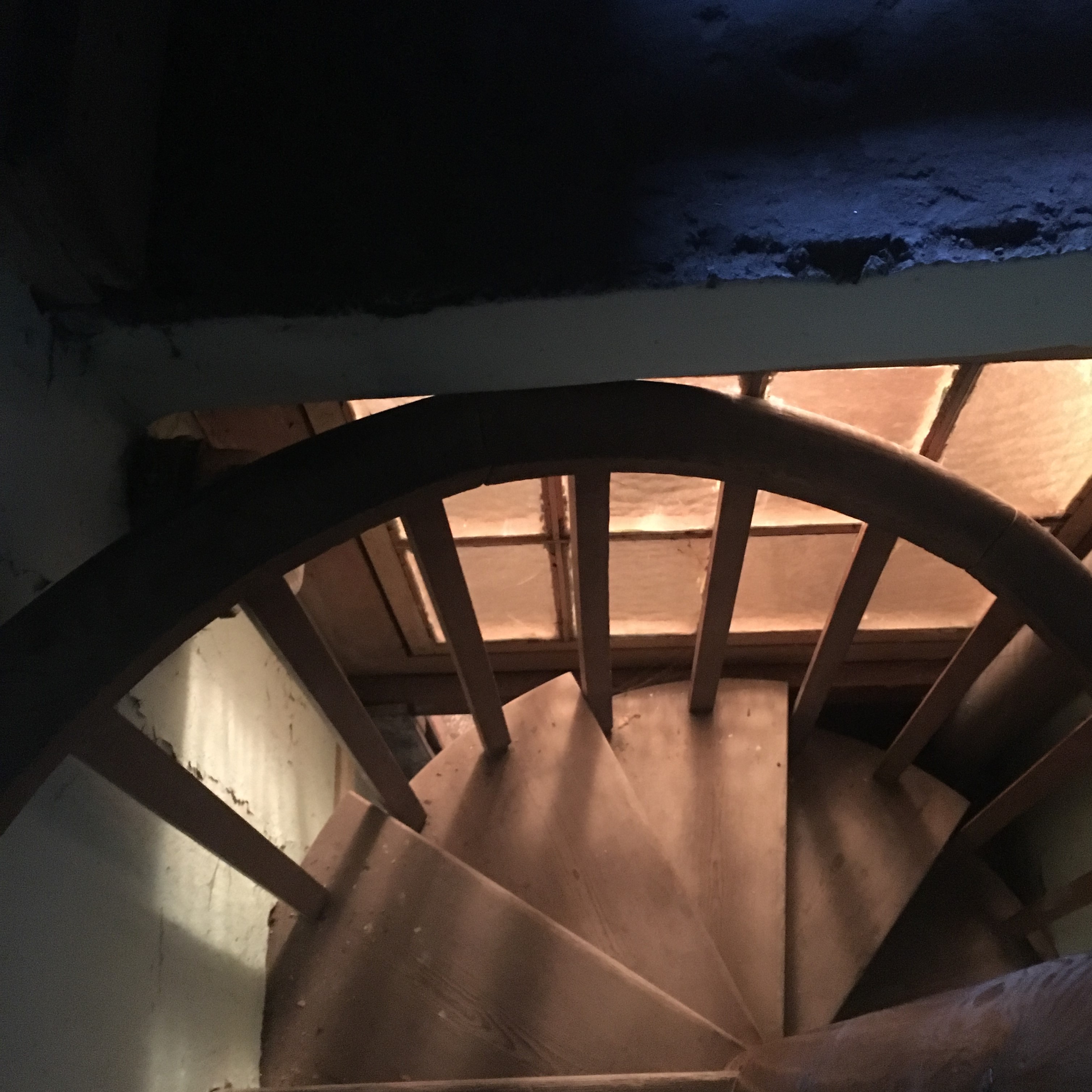 schodywkoninie - Sławomir Zasadzki