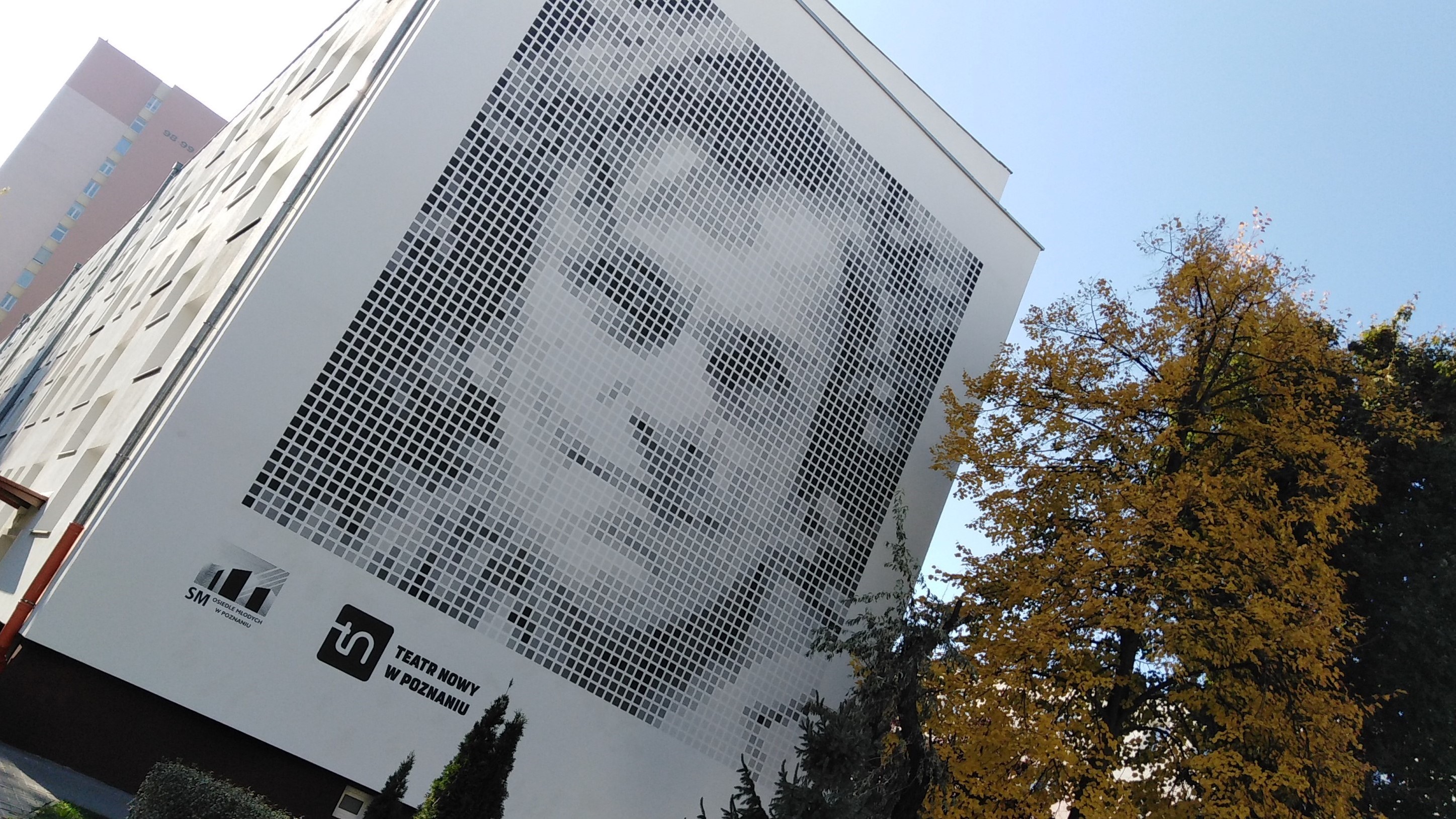 mural krystyna feldman rataje poznań - Wojtek Wardejn