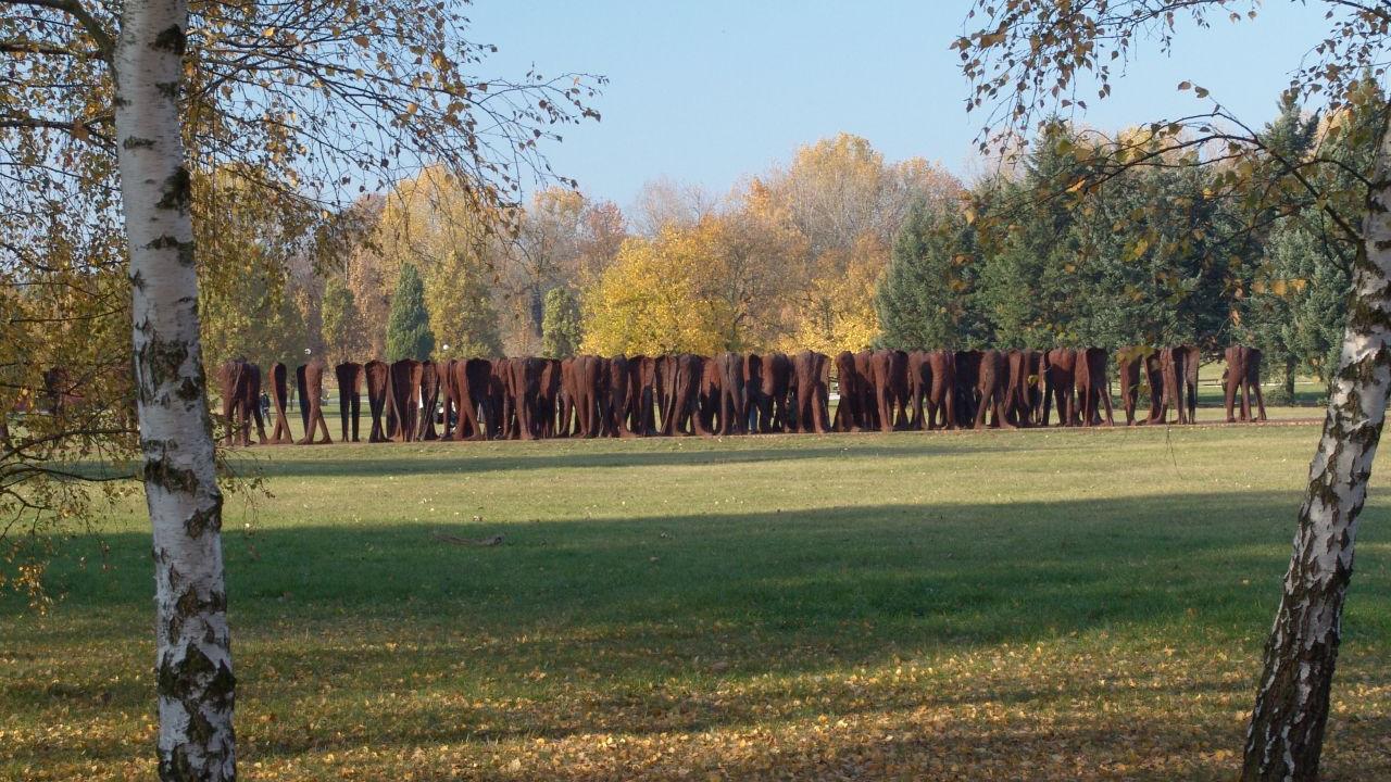 park cytadela - UM Poznań