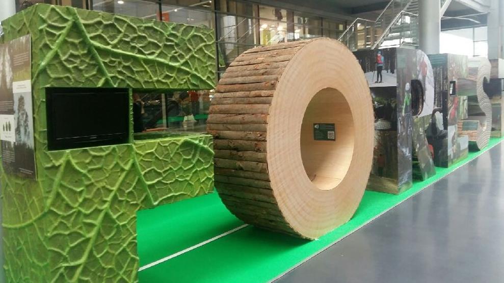 program czyste powietrze - Magdalena Konieczna