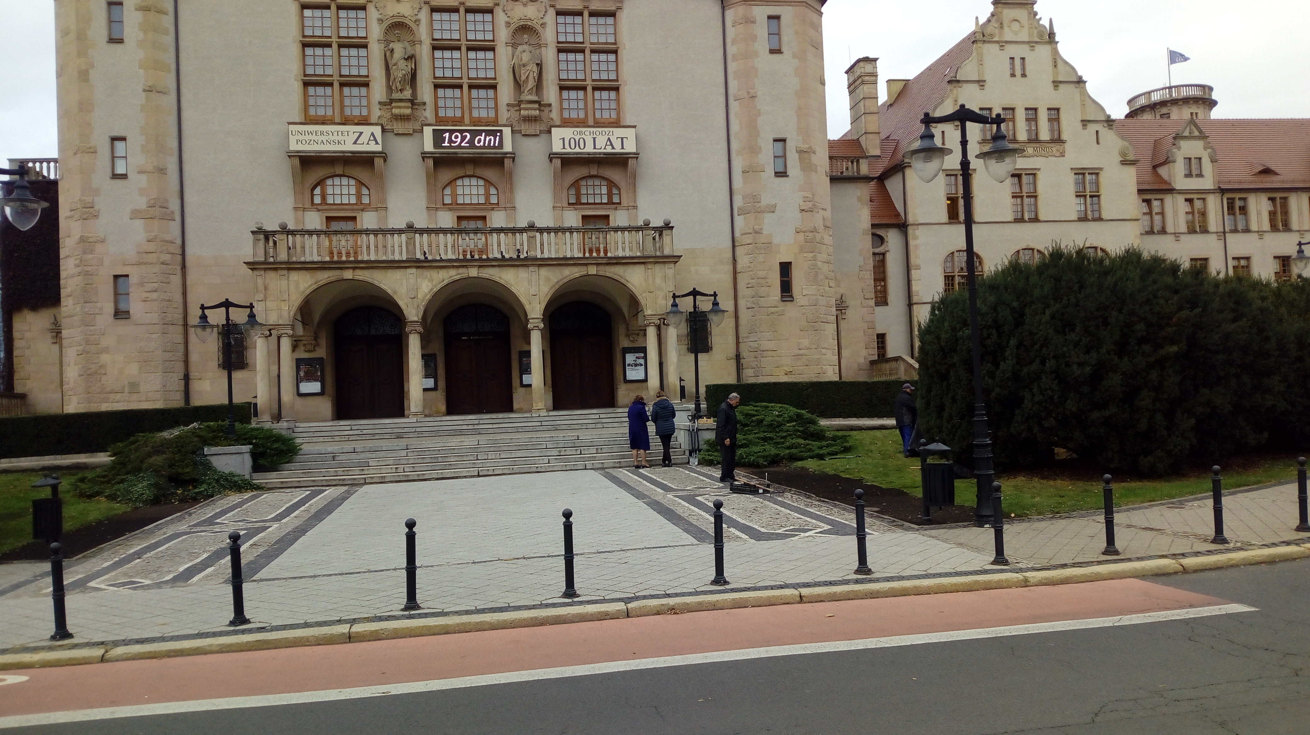 sadzenie tulipanów 2 - Leon Bielewicz