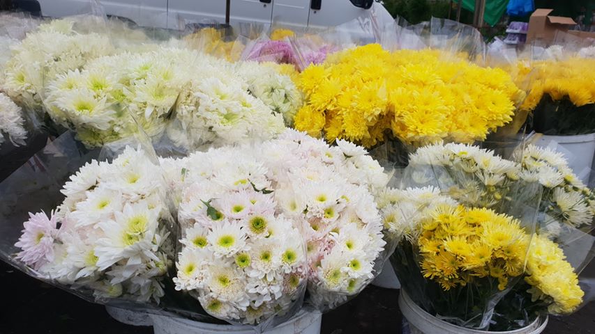 kwiaty-grob - Michał Jędrkowiak