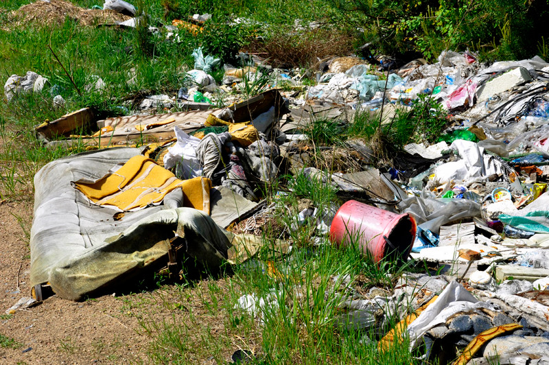 Wysypisko - w lesie - Ryszard Lenartowicz 