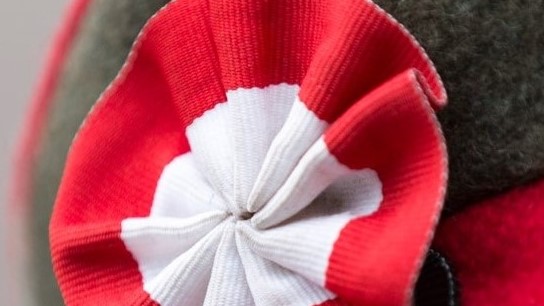 powstańcze kokardy - Wojtek Wardejn