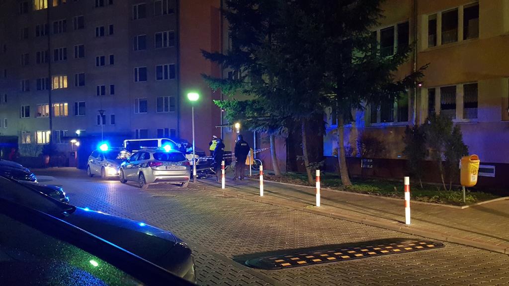 chłopiec wypadł z okna piła - Asta24.pl