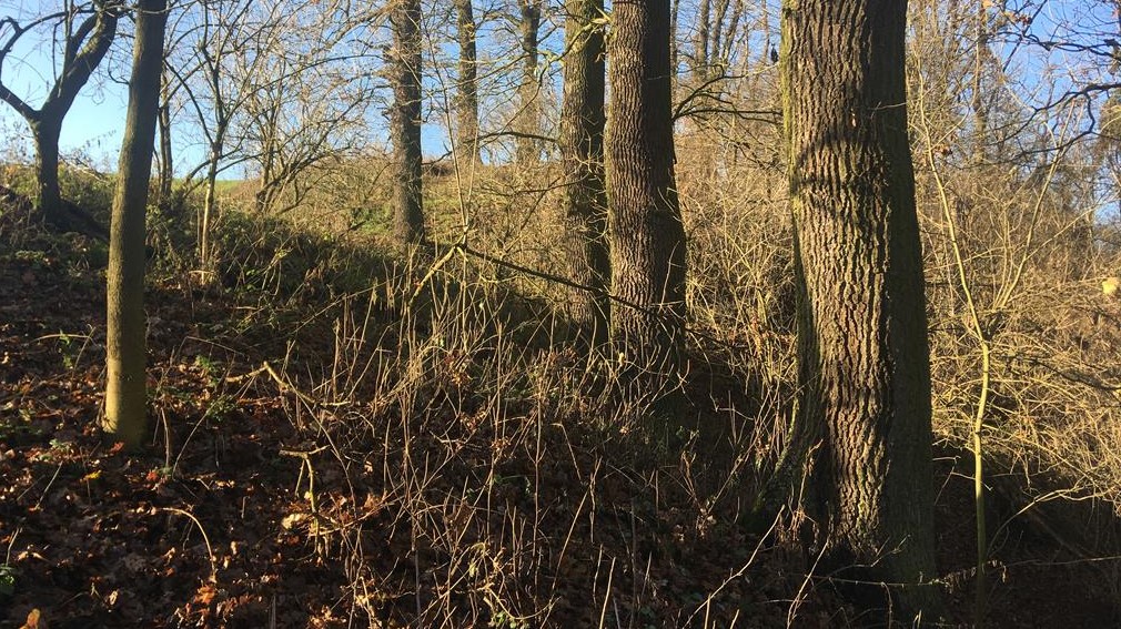 psarskie tajemnicze kości - Rafał Regulski - Radio Poznań