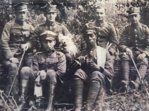 Sam Sandi - wikipedia.org