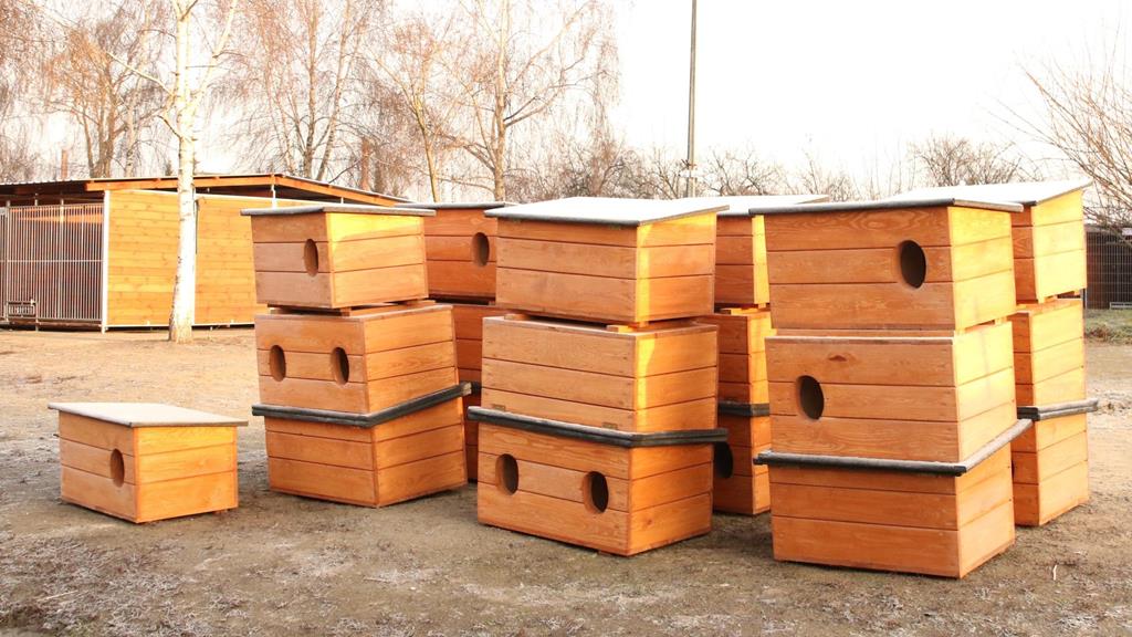 budki dla bezdomnych kotów w kaliszu - UM Kalisz