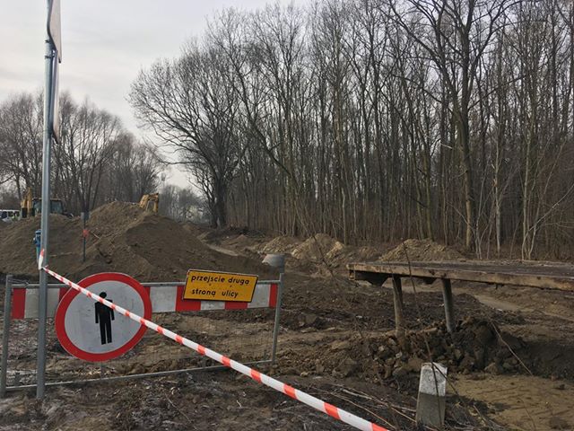 Folwarczna wycinka drzew - Piotr Jaśkowiak - Radio Poznań