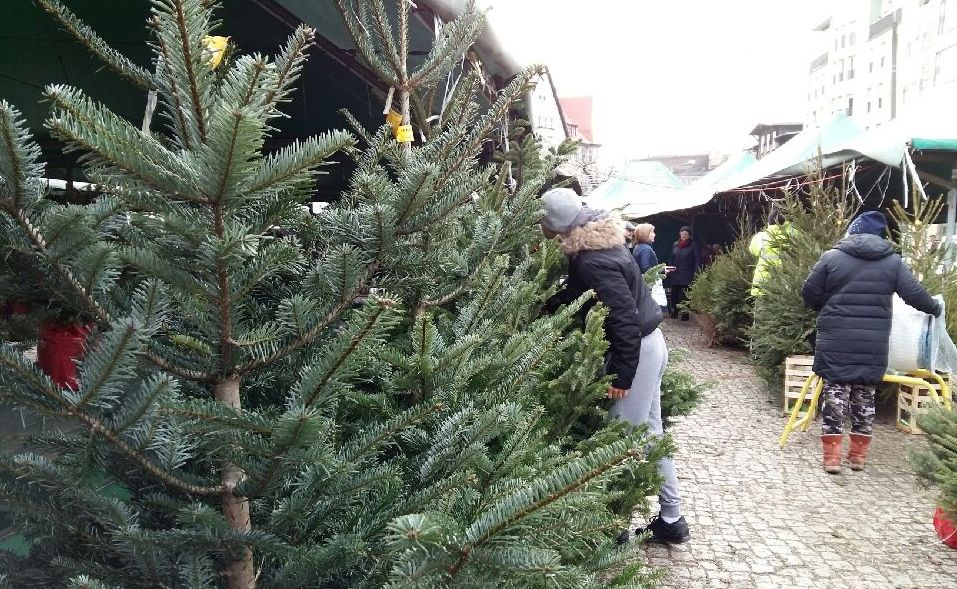 choinka swieta targowisko - Magda Konieczna  - Radio Poznań