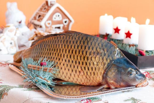 karp wigilia - Fotolia
