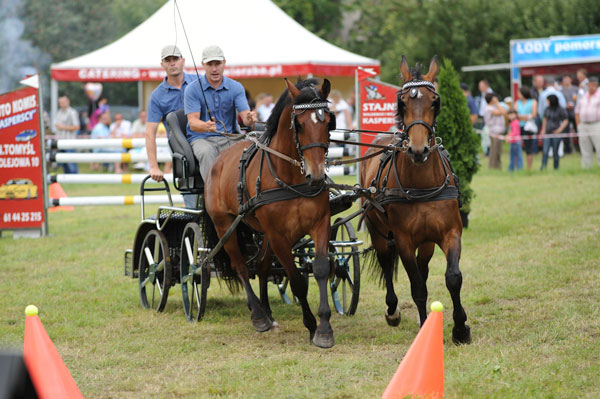 Konie, powożenie, Posadowo - Archiwum Radia Merkury