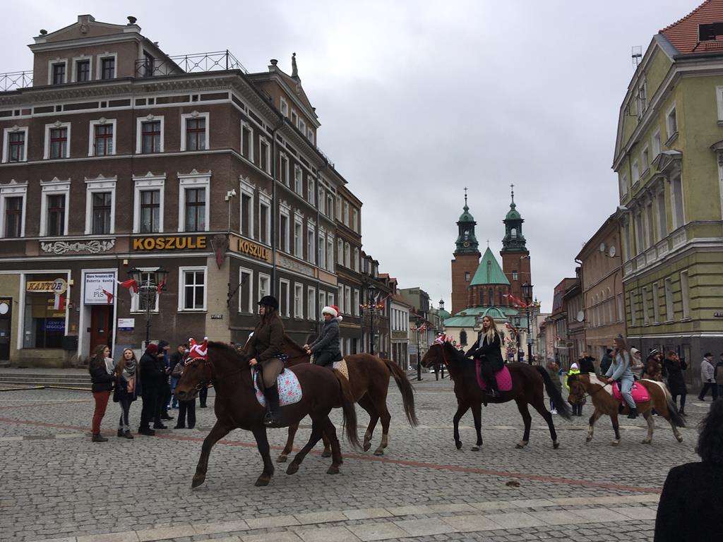 koniarze gniezno sylwester składanie życzeń konie - Rafał Muniak - Radio Poznań
