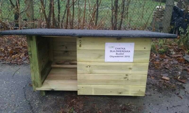 chatki dla kotów złotów zwierzęta  - zlotow.pl