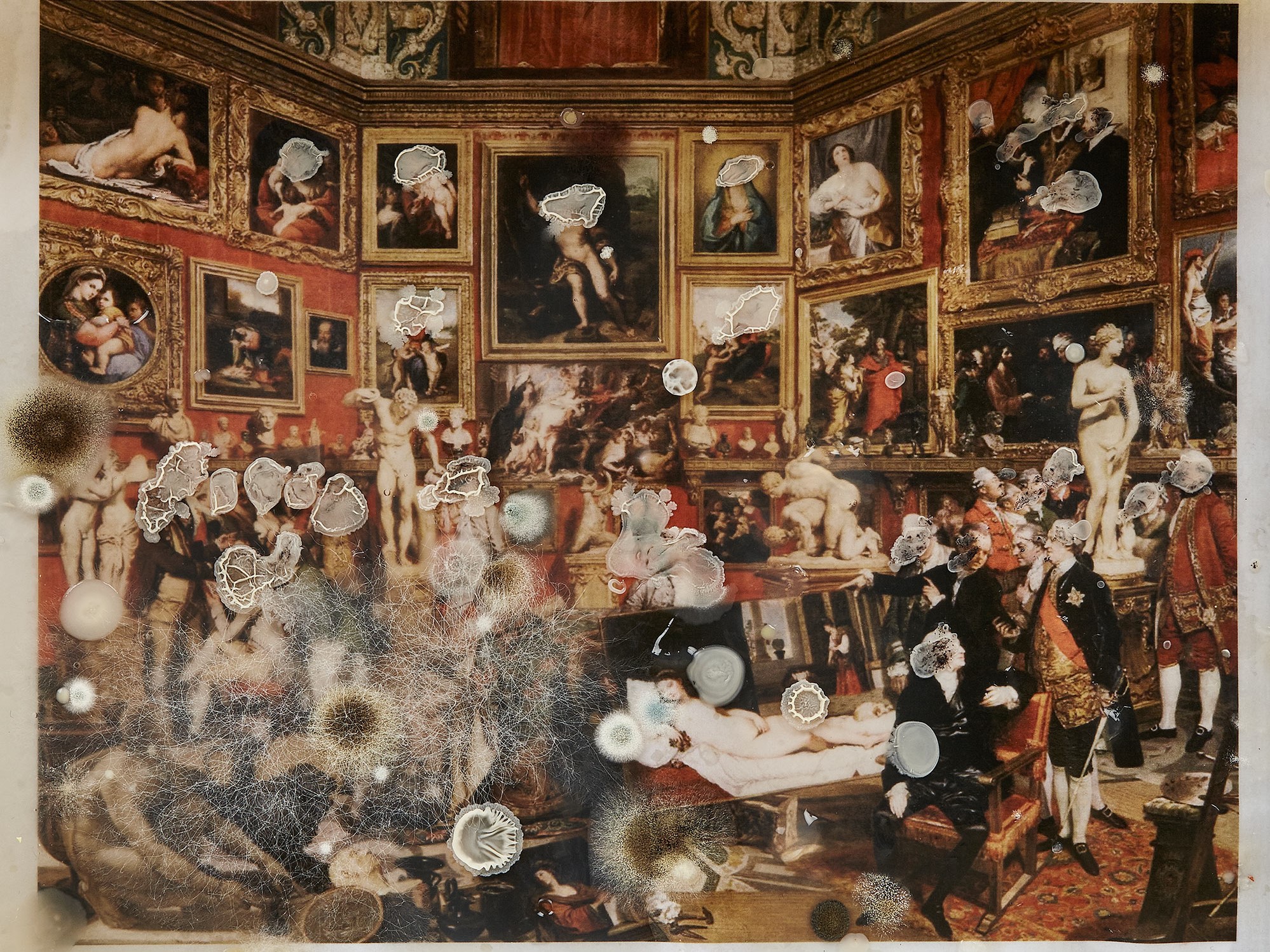 diana lelonek paszporty polityki - www.dianalelonek.com