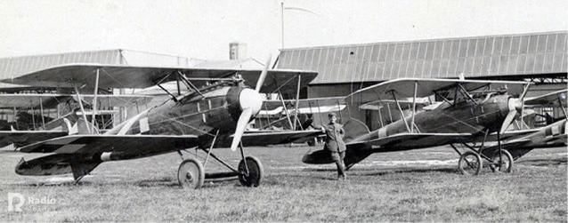 albatrosy na ławicy