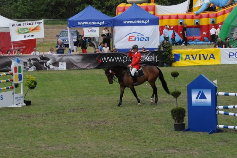 Poznań Wola - CSI - mat. prasowe 