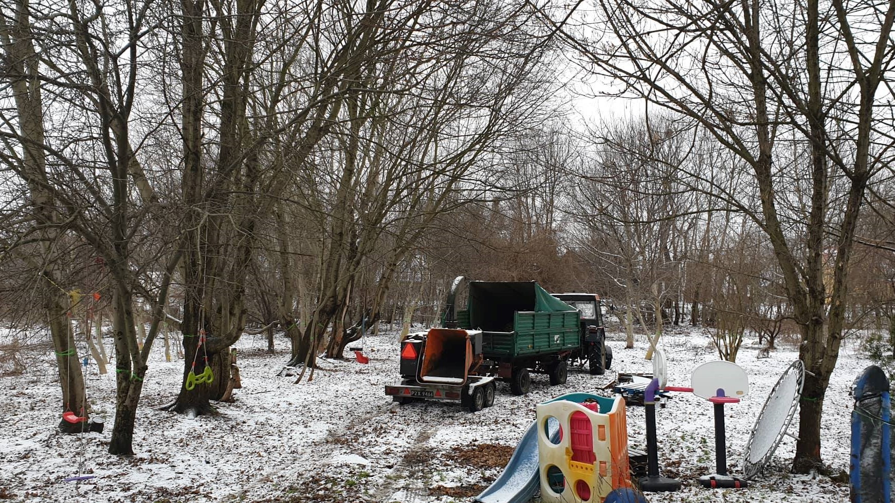 wycinka drzew park starołęka - FB: Dendroterapia Poznań