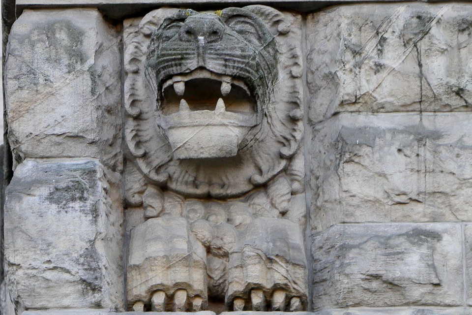 zwierzyniec_zamkowy - ckzamek.pl