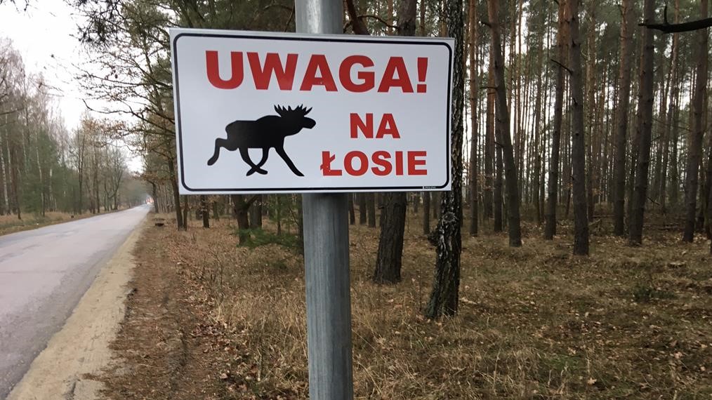 nilegalny znak  - Przemysław Stochaj