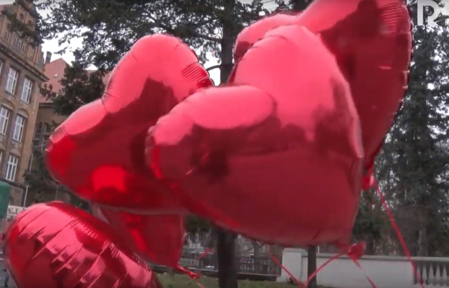 serce balony walentynki - Kacper Witt